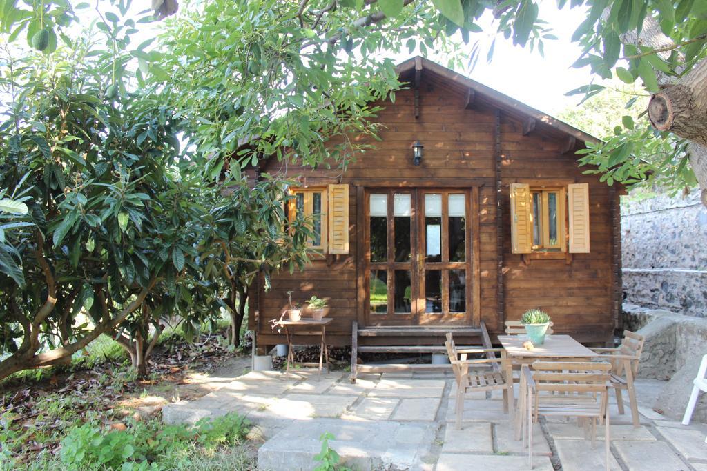 Camping Tropical Almuñécar Rum bild